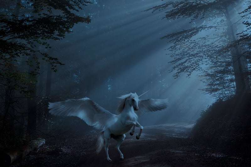 Unicorn Wall Art